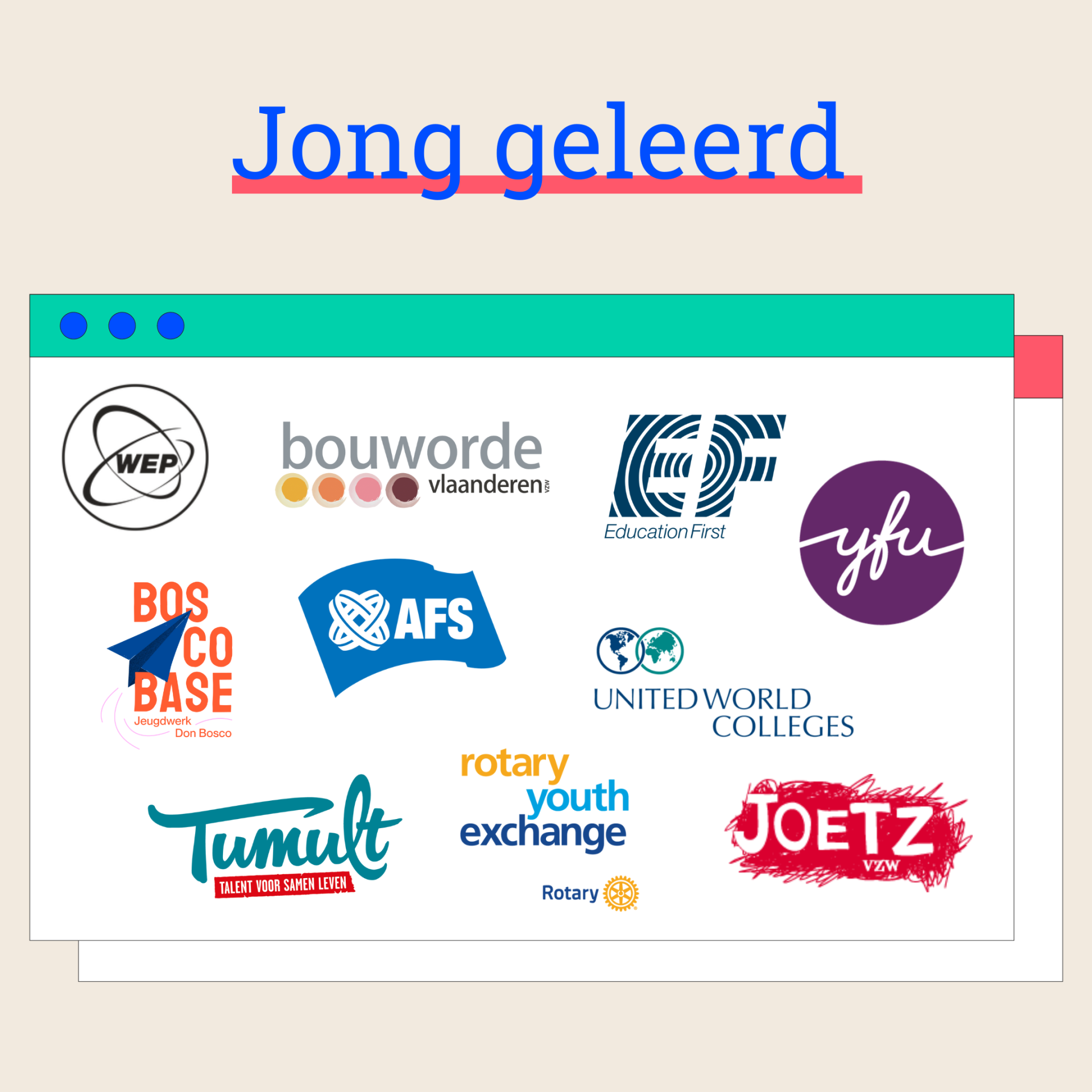 alle organisaties rond jong geleerd